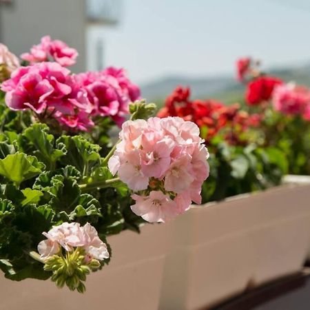 Apartament Family House Nino Kaštel Stari Zewnętrze zdjęcie